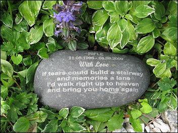 Memorial for a loved pet